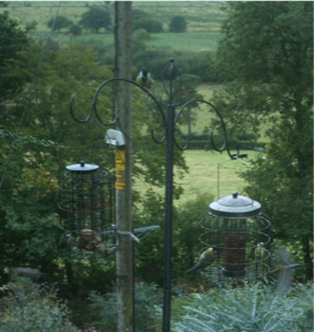Stacks Image 26